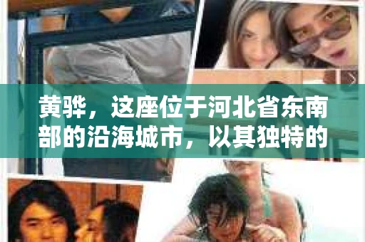 黄骅，这座位于河北省东南部的沿海城市，以其独特的地理位置和丰富的历史文化而闻名。然而，在这座城市中，还有一群人，他们以另一种方式默默守护着社会的公平与正义——私家侦探。今天，我们就来聊聊黄骅的私家侦探，看看他们是如何在这个城市中发挥作用的。