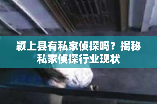 颖上县有私家侦探吗？揭秘私家侦探行业现状