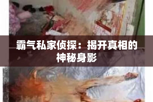 霸气私家侦探：揭开真相的神秘身影