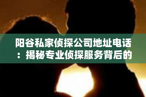 阳谷私家侦探公司地址电话：揭秘专业侦探服务背后的故事