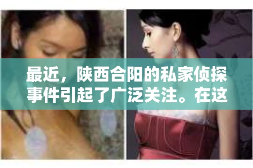 最近，陕西合阳的私家侦探事件引起了广泛关注。在这个信息爆炸的时代，隐私保护显得尤为重要。今天，我们就来聊聊这个事件，看看它背后的一些故事。