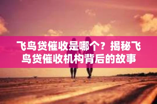 飞鸟贷催收是哪个？揭秘飞鸟贷催收机构背后的故事