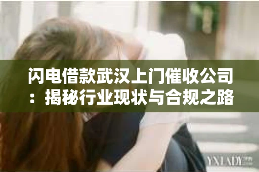 闪电借款武汉上门催收公司：揭秘行业现状与合规之路