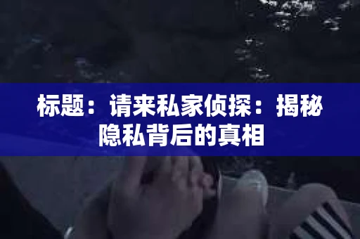 标题：请来私家侦探：揭秘隐私背后的真相