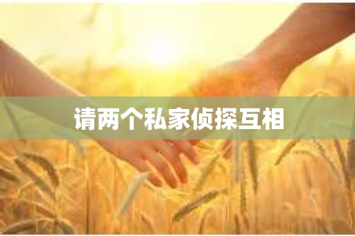 请两个私家侦探互相