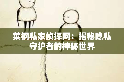 莱钢私家侦探网：揭秘隐私守护者的神秘世界