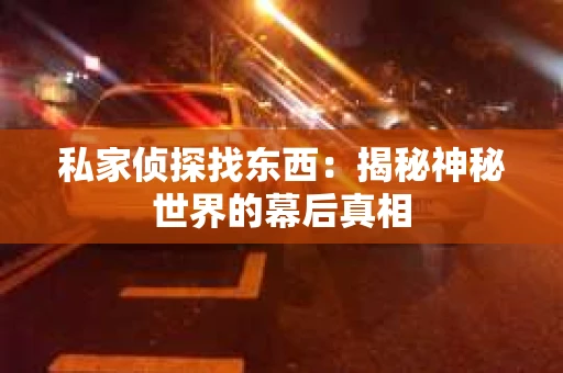 私家侦探找东西：揭秘神秘世界的幕后真相