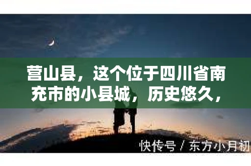 营山县，这个位于四川省南充市的小县城，历史悠久，风景秀丽。但在这个宁静的小县城里，你是否会好奇，有没有私家侦探的存在呢？今天，我就来和大家聊聊这个话题。
