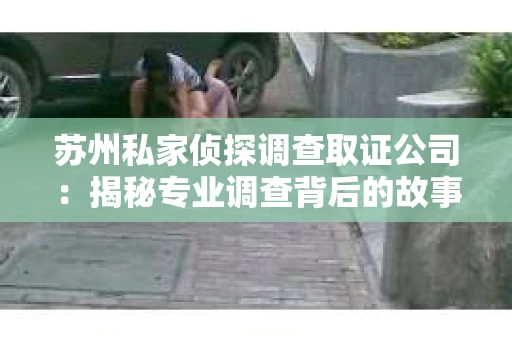 苏州私家侦探调查取证公司：揭秘专业调查背后的故事