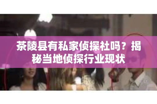茶陵县有私家侦探社吗？揭秘当地侦探行业现状
