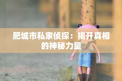 肥城市私家侦探：揭开真相的神秘力量