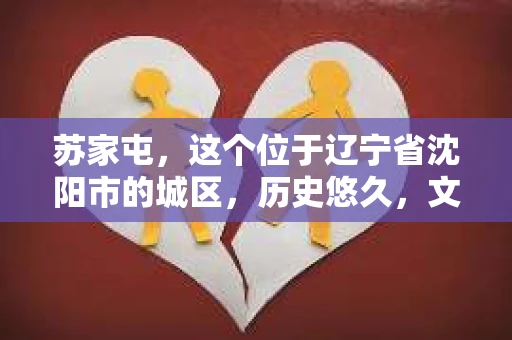 苏家屯，这个位于辽宁省沈阳市的城区，历史悠久，文化底蕴深厚。近年来，随着社会的发展，人们对于私家侦探的需求也逐渐增加。那么，苏家屯有私家侦探吗？今天，我们就来聊聊这个话题。