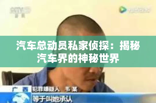 汽车总动员私家侦探：揭秘汽车界的神秘世界