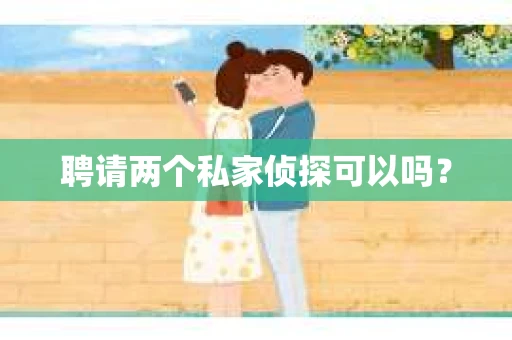 聘请两个私家侦探可以吗？