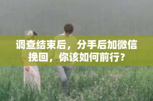 调查结束后，分手后加微信挽回，你该如何前行？