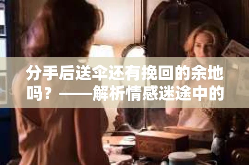 分手后送伞还有挽回的余地吗？——解析情感迷途中的决策