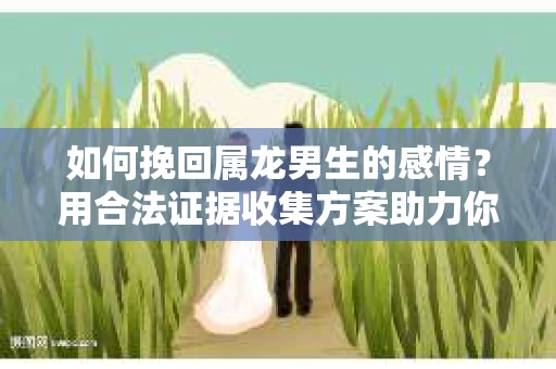 如何挽回属龙男生的感情？用合法证据收集方案助力你的努力？