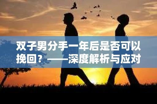 双子男分手一年后是否可以挽回？——深度解析与应对策略